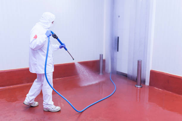 Best Gutter Cleaning and Brightening in Wolf Trap, VA